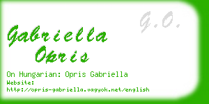 gabriella opris business card